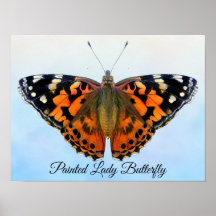 Poster av målad Dam Butterfly Watercolor Painting