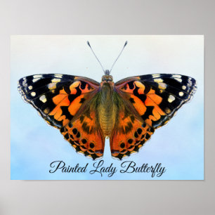 Poster av målad Dam Butterfly Watercolor Painting