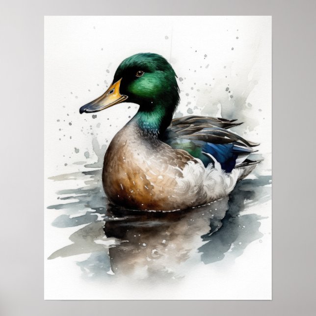 Poster av mallard Anka Bird Art Print (Framsidan)
