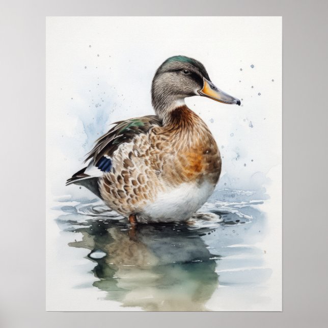 Poster av mallard Anka Bird Art Print (Framsidan)