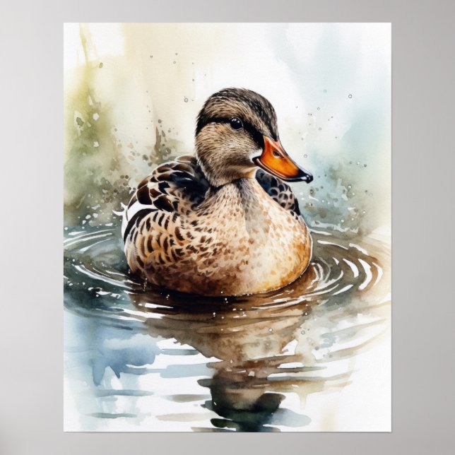 Poster av mallard Anka Bird Art Print (Framsidan)