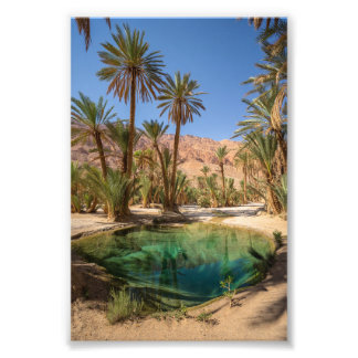 poster av marrakech oasis