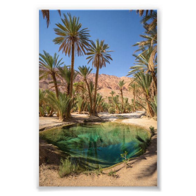 poster av marrakech oasis (Framsidan)