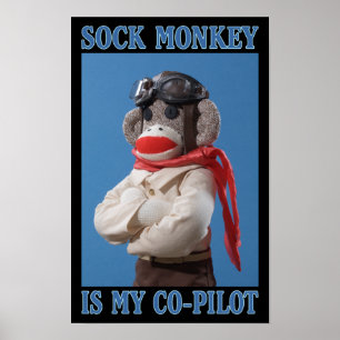 Poster av medpiloten