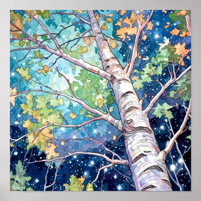 Poster av nattskog i landskapshem (Framsidan)