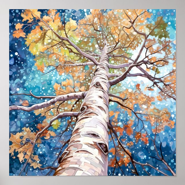 Poster av nattskog i landskapshem (Framsidan)