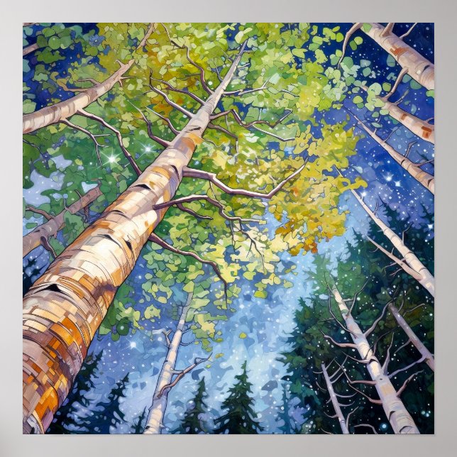 Poster av nattskog i landskapshem (Framsidan)