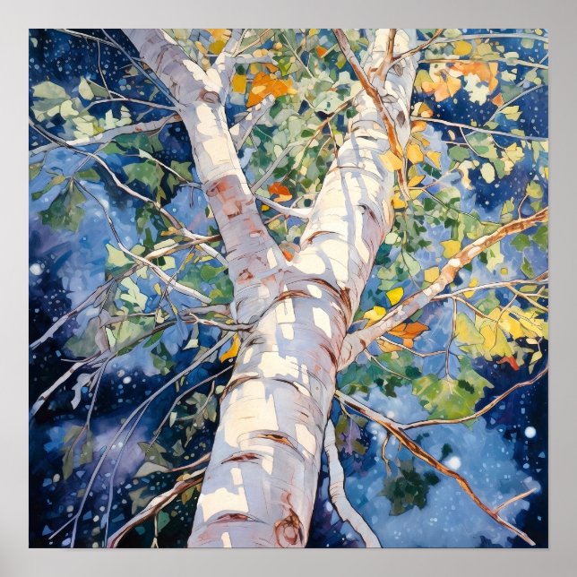 Poster av nattskog i landskapshem (Framsidan)