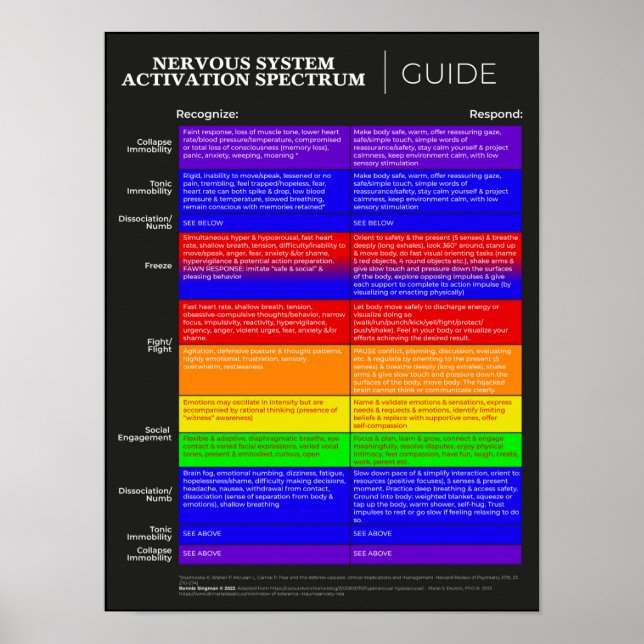 Poster av NervSystem Activation Spectrum Guide (Framsidan)