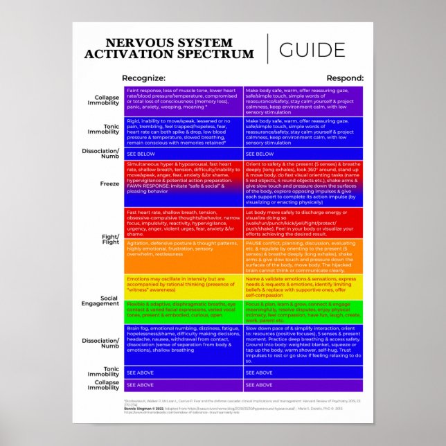 Poster av NervSystem Activation Spectrum Guide (Framsidan)