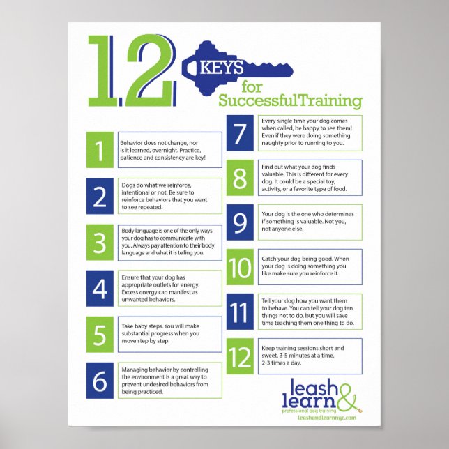 Poster av nycklar för framgångsrik Hund (Framsidan)