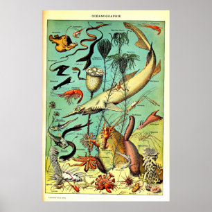 Poster av nyproducerade adolphe Millot Ocean Sea A