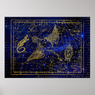 poster av ödla och svan-konstellation
