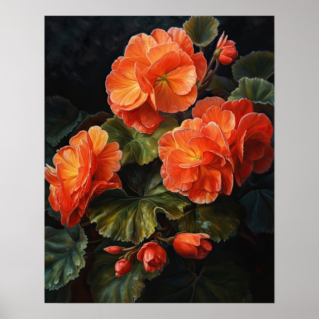 Poster av orange Begonia Flowers Art-utskrift (Framsidan)