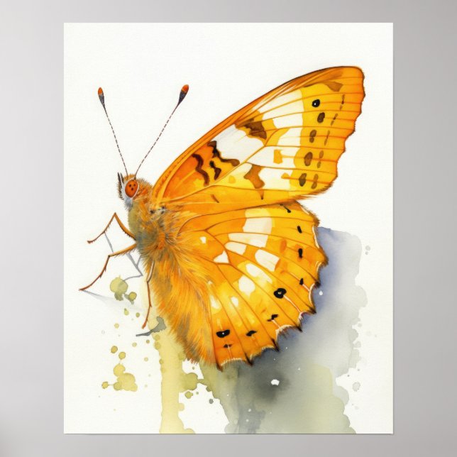 Poster av orange Svavelfjärilskonst (Framsidan)