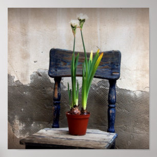Poster av ordförande och blomma