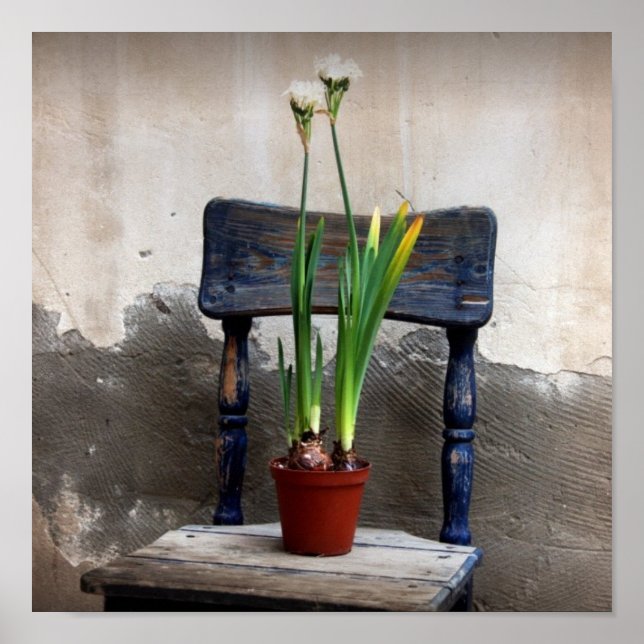 Poster av ordförande och blomma (Framsidan)