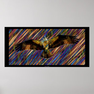 Poster av "OSPREY Raptor Modern Art"