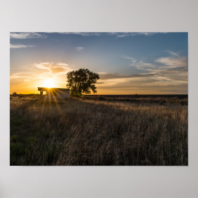 Poster av övergiven Shed Colorado Sunset (Framsidan)