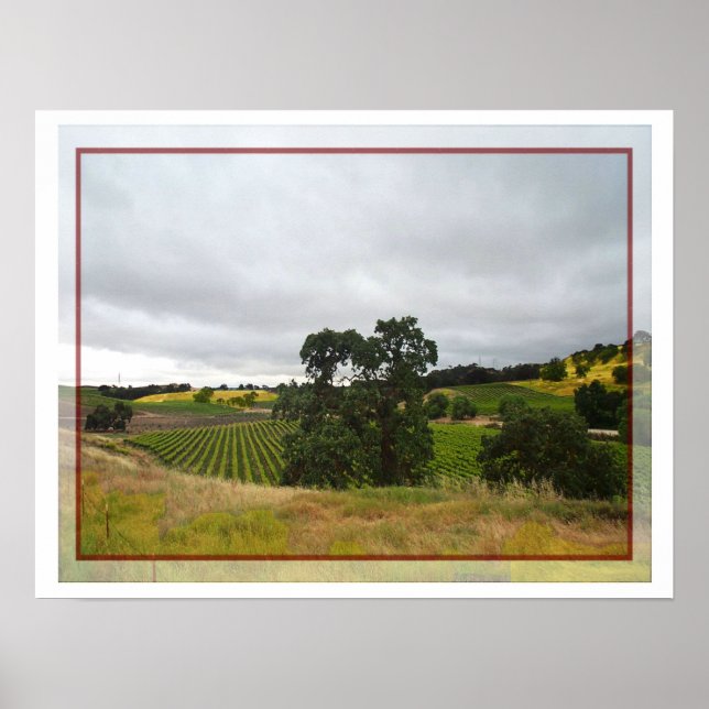 Poster av Paso Robles Vin Land (Framsidan)