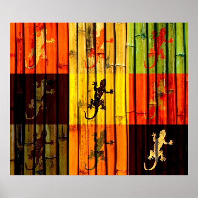 Poster av poppart Geckos (Framsidan)