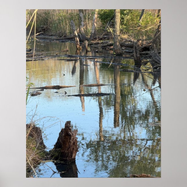 Poster av reflexfoto för bäck Waterscape-reflexer (Framsidan)
