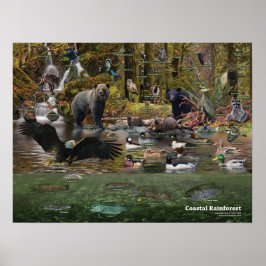 Poster av regnskog från kusten