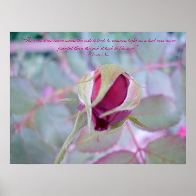Poster av ren elegance (Framsidan)