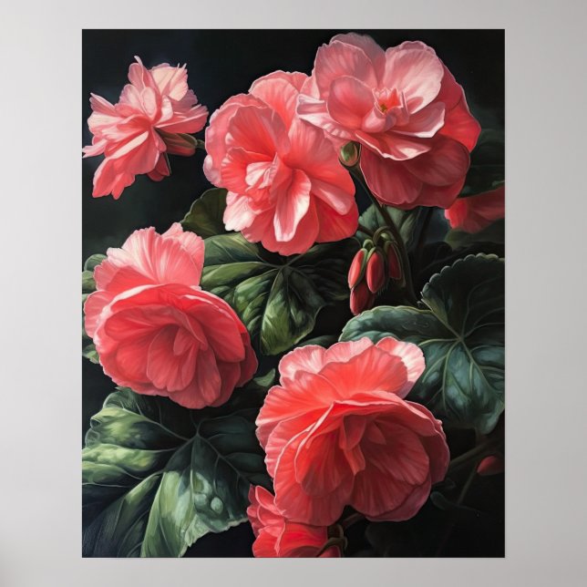 Poster av rosa Begonia Flowers Art Print  (Framsidan)