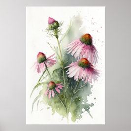 Poster av rosa Coneflowers Art Print