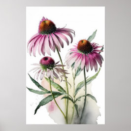 Poster av rosa Coneflowers Art Print
