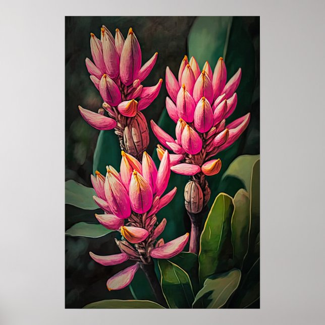 Poster av rosa Curcuma Flowers Art Skriv ut (Framsidan)