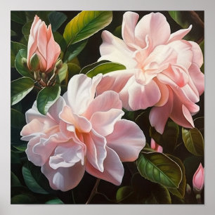 Poster av rosa Gardenias Flower Art Print