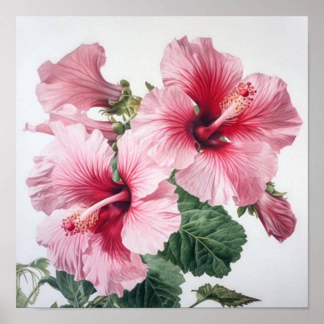 Poster av rosa Hibiscus Flower Art Print  (Framsidan)