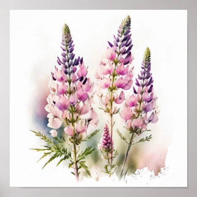 Poster av rosa Lupine Flower Art-utskrift (Framsidan)