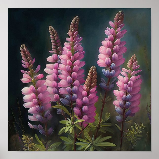 Poster av rosa Lupine Flower Art-utskrift (Framsidan)