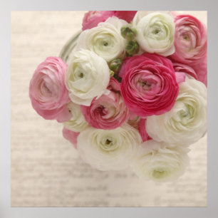 poster av rosa och vita ranunculus på skript