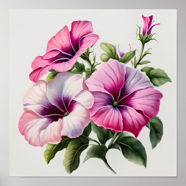 Poster av rosa Petunias Flower Art Print  (Framsidan)