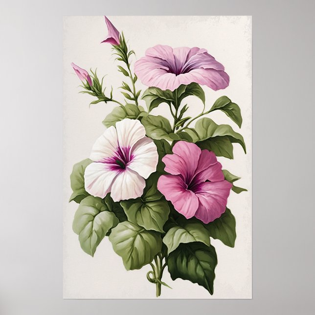 Poster av rosa Petunias Flower Art Print  (Framsidan)