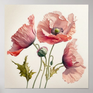 Poster av rosa Poppy Flowers Art Print 
