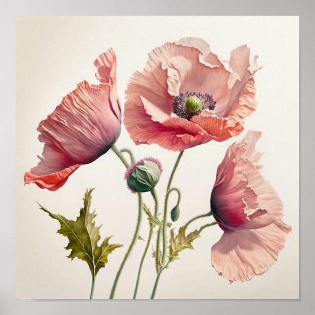 Poster av rosa Poppy Flowers Art Print  (Framsidan)