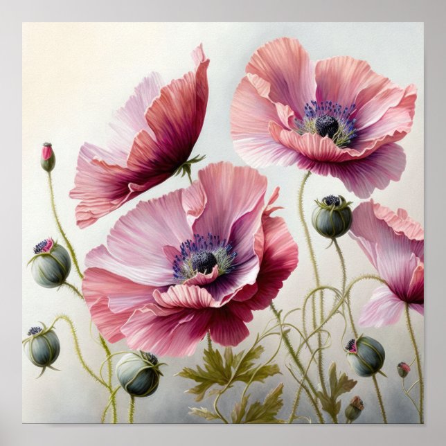 Poster av rosa Poppy Flowers Art Print  (Framsidan)