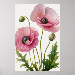 Poster av rosa Poppy Flowers Art Print 