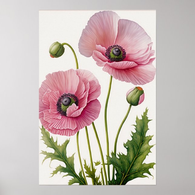 Poster av rosa Poppy Flowers Art Print  (Framsidan)
