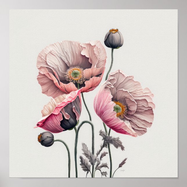 Poster av rosa Poppy Flowers Art Print  (Framsidan)