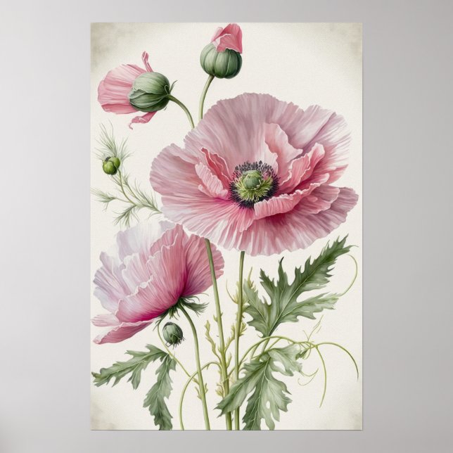Poster av rosa Poppy Flowers Art Print  (Framsidan)