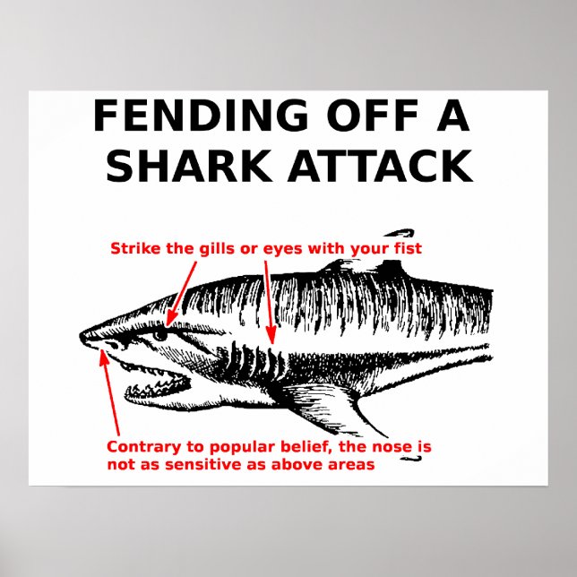 Poster av Shark Attack (Framsidan)