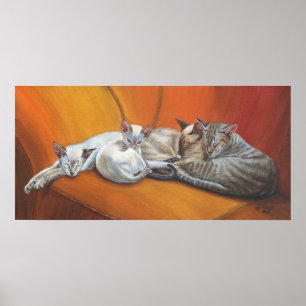 Poster av siamesisk katthattart "Family Nap"
