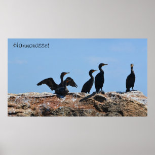 Poster av sjöfåglar