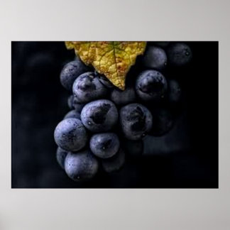 Poster av skadliga grafikkluster